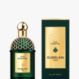 Absolus Allegoria Oud Essentiel Eau de Parfum