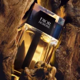 Dior Homme Eau de Toilette