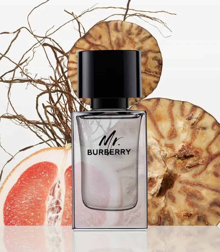 Mr. Burberry Eau de Toilette Mr. Burberry Eau de Toilette