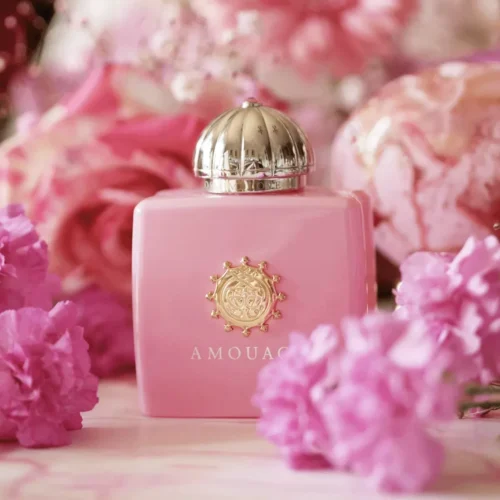 Blossom Love Blossom Love
