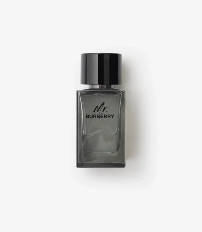 Mr. Burberry Eau de Toilette Mr. Burberry Eau de Toilette