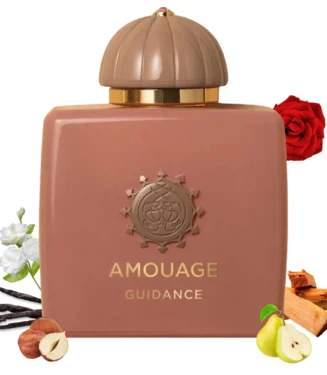 Guidance