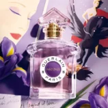 Insolence Eau de Toilette