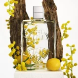 Maybach Snow White Leather Eau de Parfum