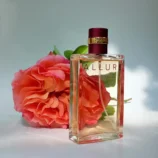 Chanel Allure Sensuelle Eau de Parfum