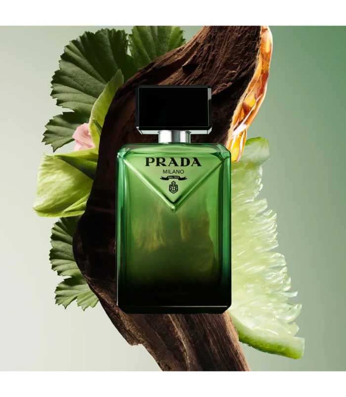 Paradigme Eau de Parfum Paradigme Eau de Parfum