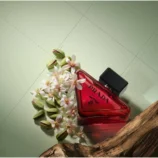 Luna Paradoxe Radical Essence Parfum