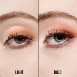 Dior Backstage Eye Palette 044